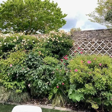 Charmante Maisonnette 4★ A Saint-martin-de-re, Proche Du Port Et Plage - Fr-1-544-10